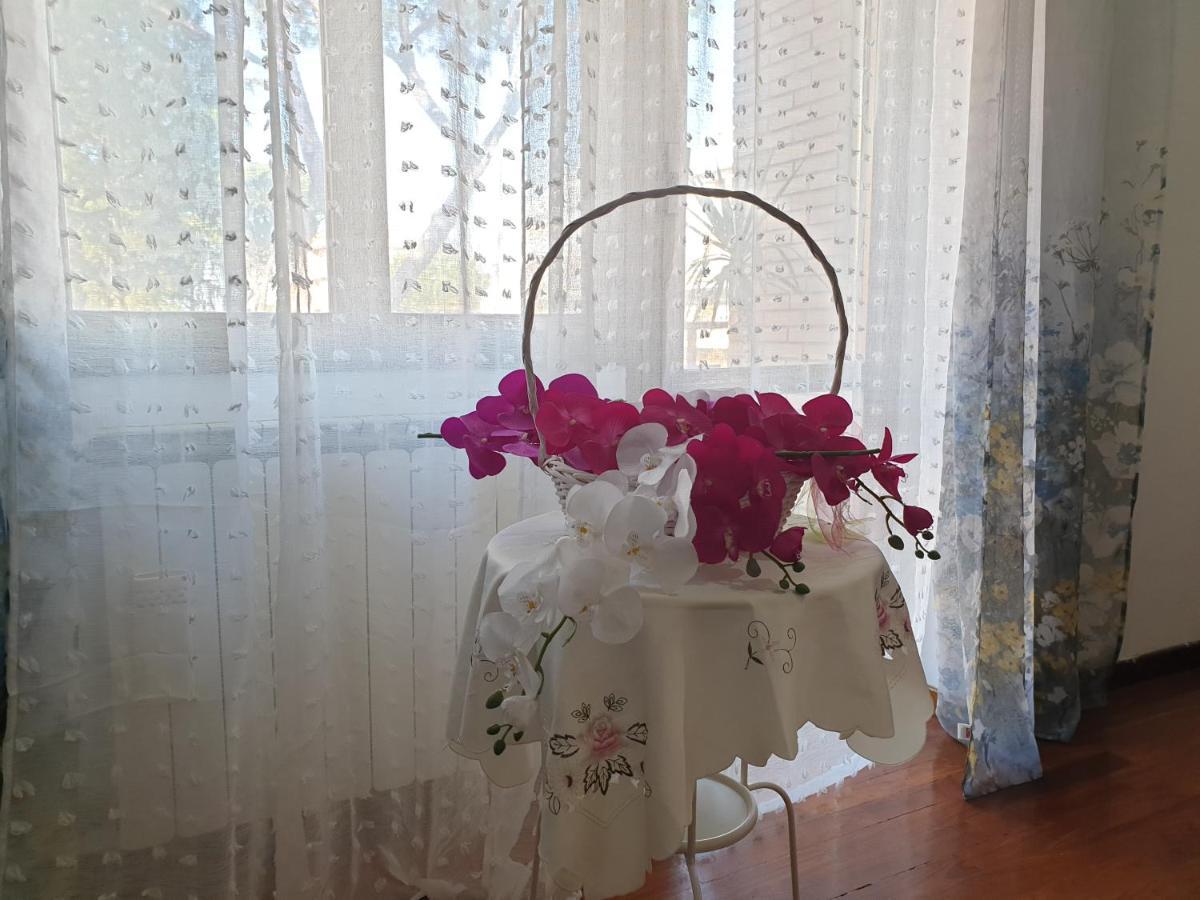 B&B Mary'S House Ciampino Bagian luar foto